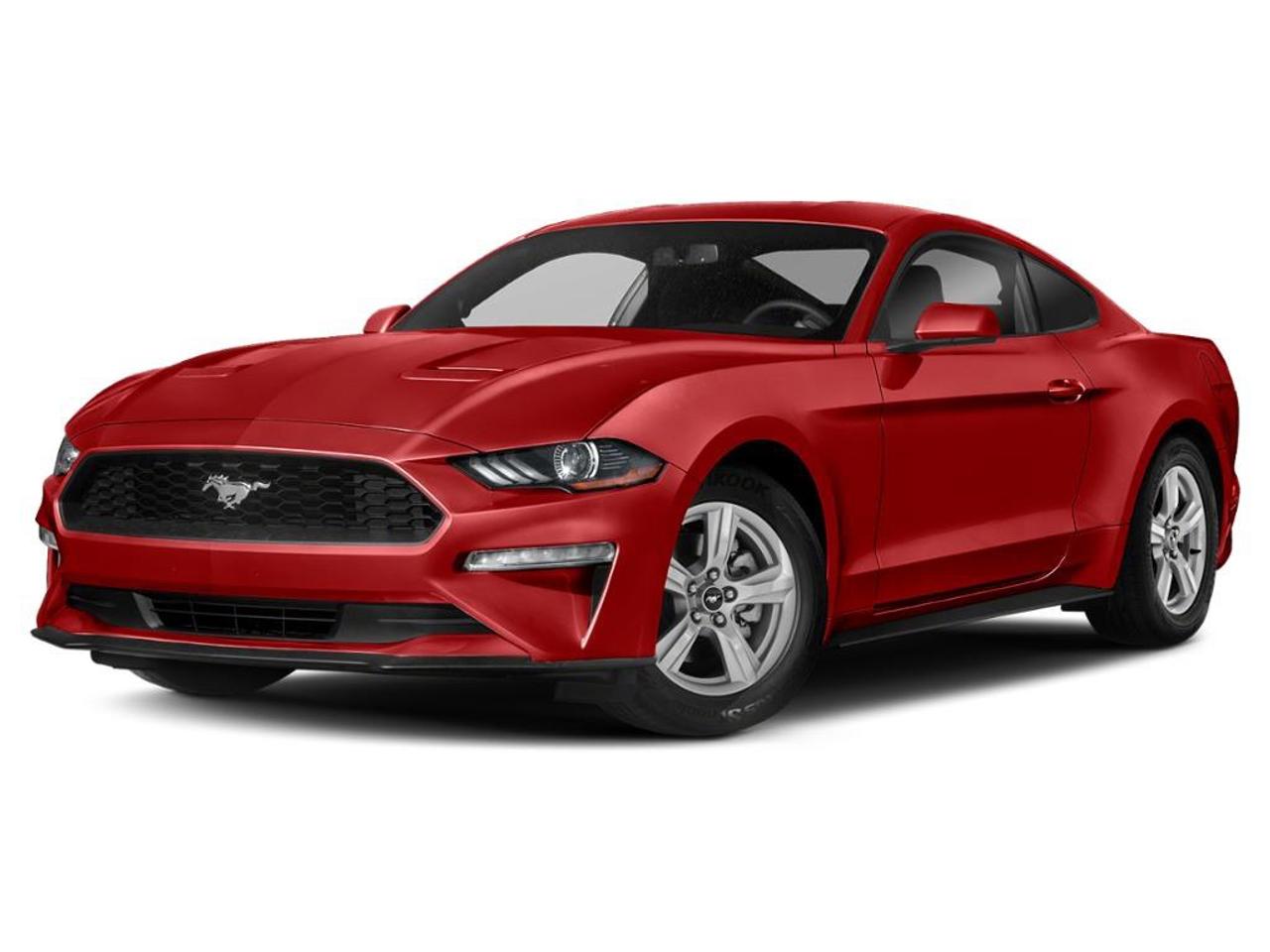 2020 Ford Mustang EcoBoost Premium 2dr Fastback Photo0