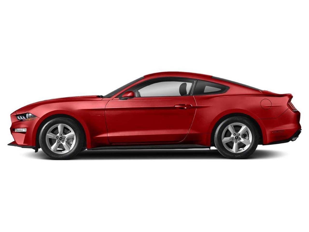 2020 Ford Mustang EcoBoost Premium 2dr Fastback Photo1