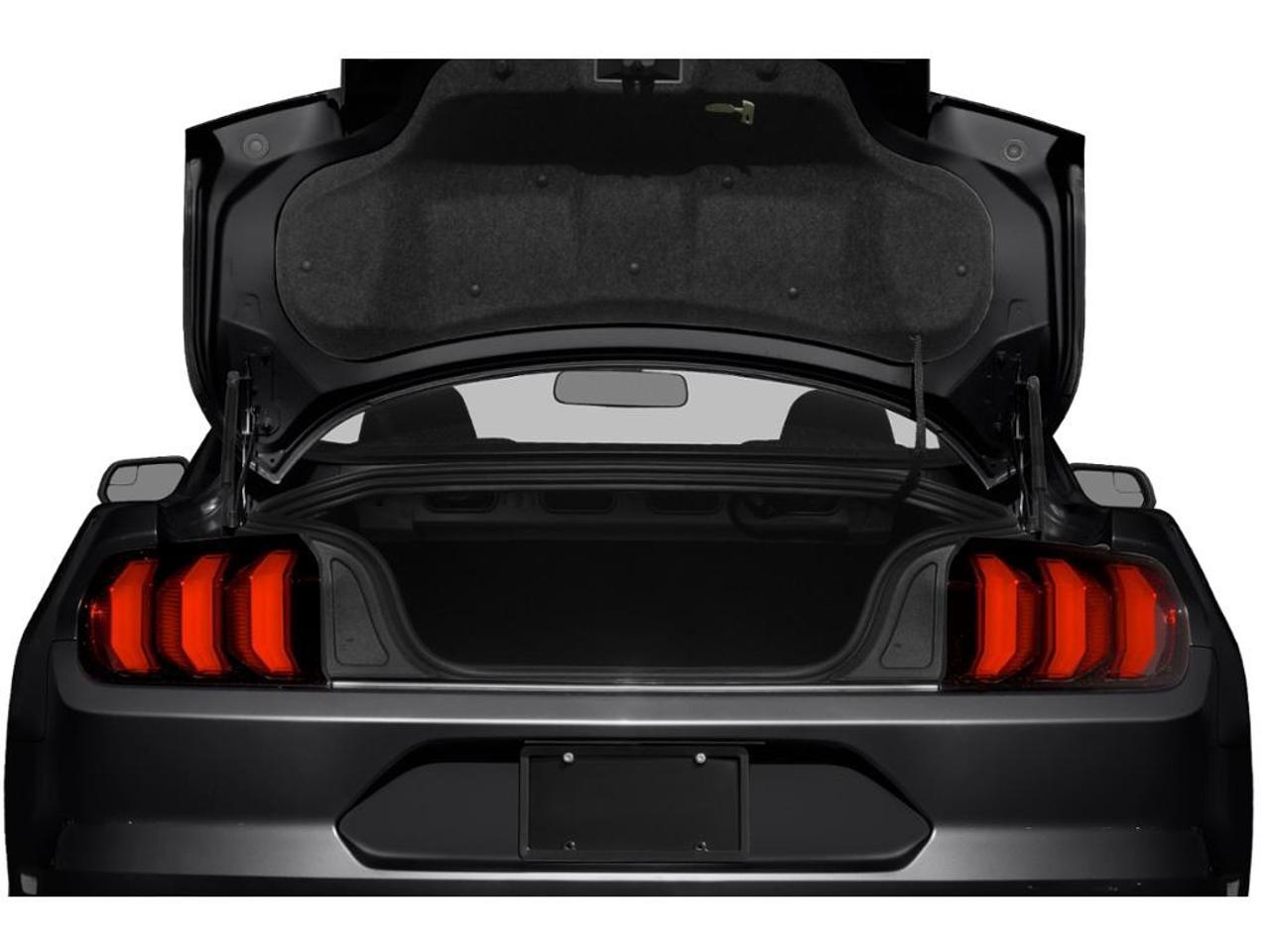 2020 Ford Mustang EcoBoost Premium 2dr Fastback Photo
