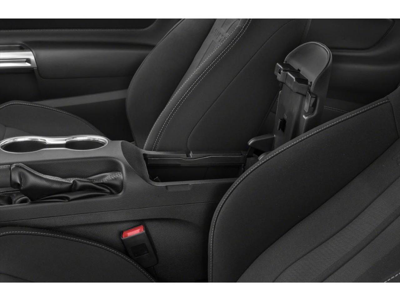 2020 Ford Mustang EcoBoost Premium 2dr Fastback Photo