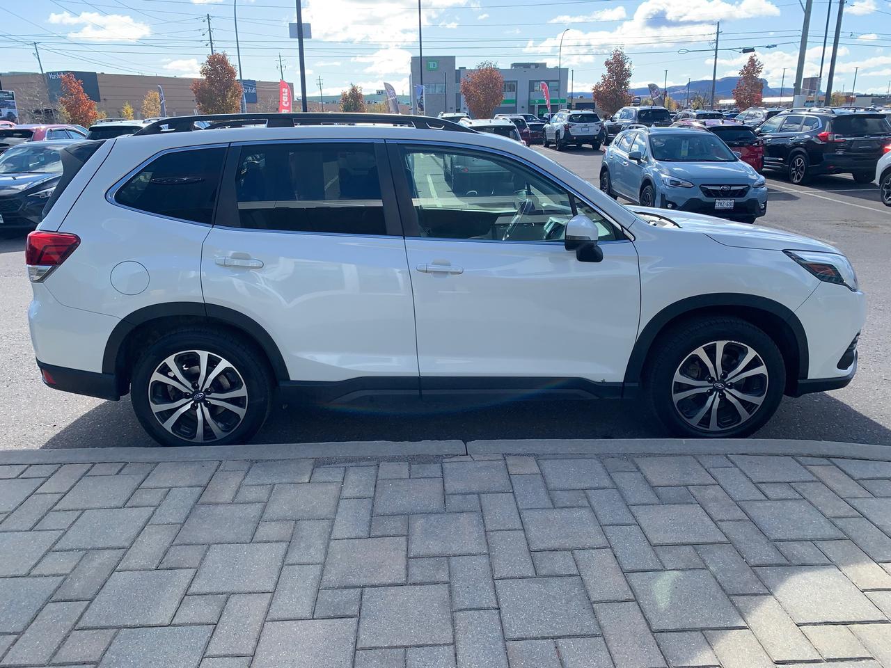 2024 Subaru Forester Limited 4dr All-Wheel Drive Photo