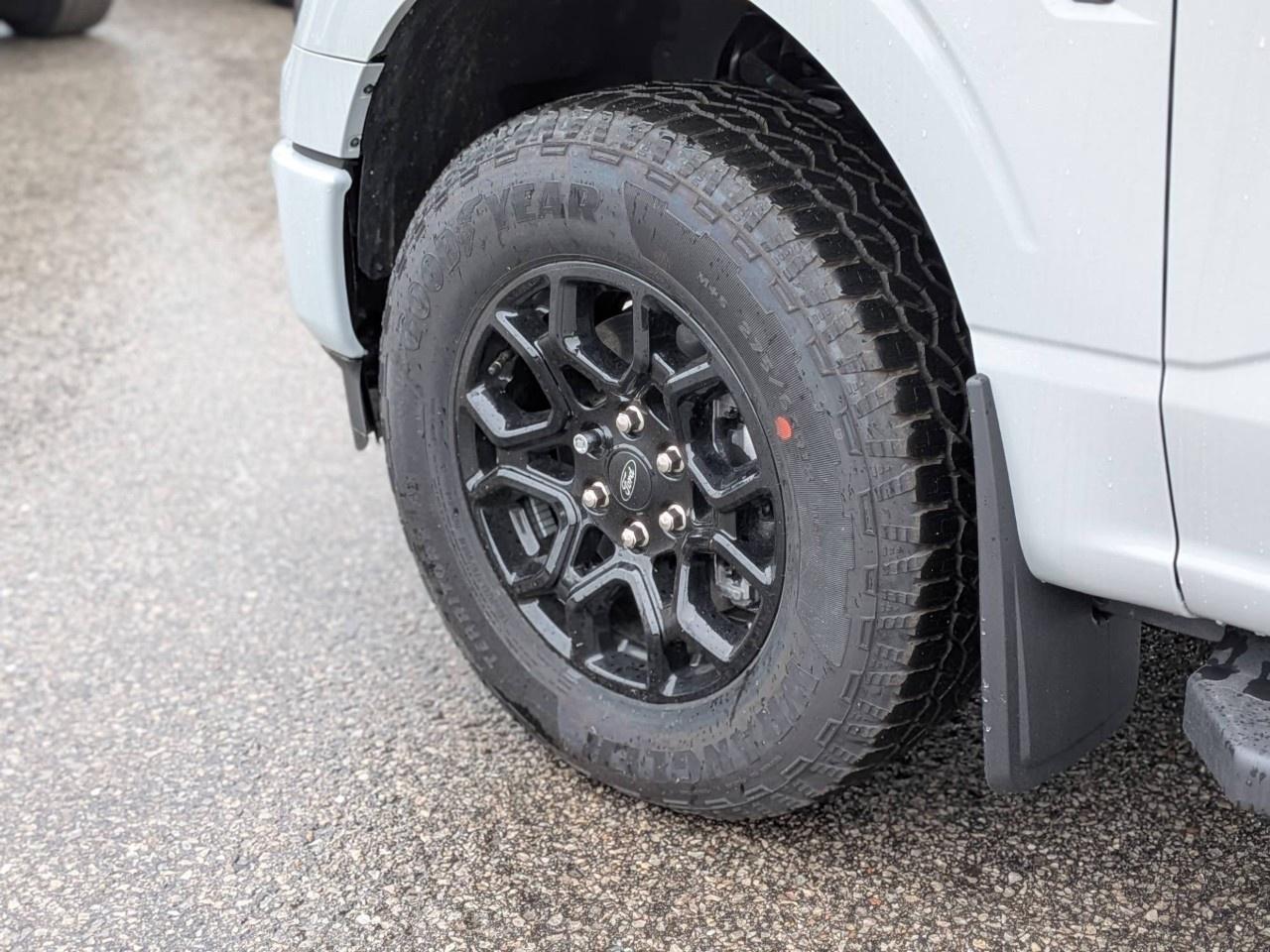 2026 Ford F-150  Photo