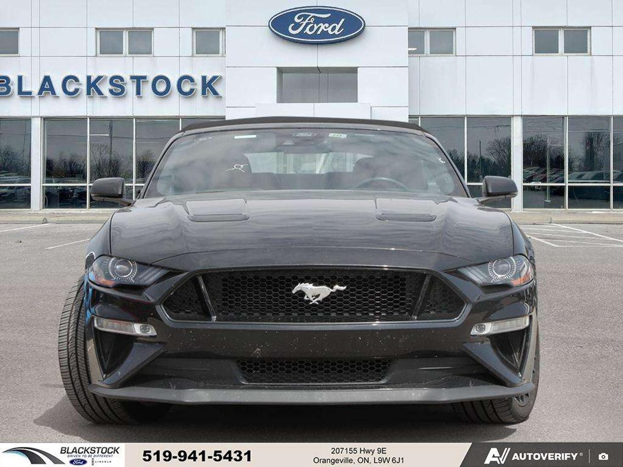 2021 Ford Mustang GT   ONE OWNER   NO ACCIDENTS   LOW KMS   CERTIFIED Photo