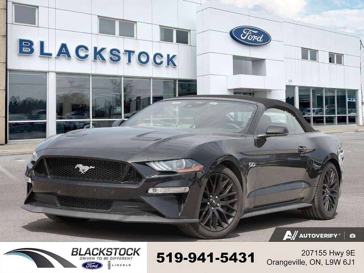 2021 Ford Mustang GT   ONE OWNER   NO ACCIDENTS   LOW KMS   CERTIFIED Photo0