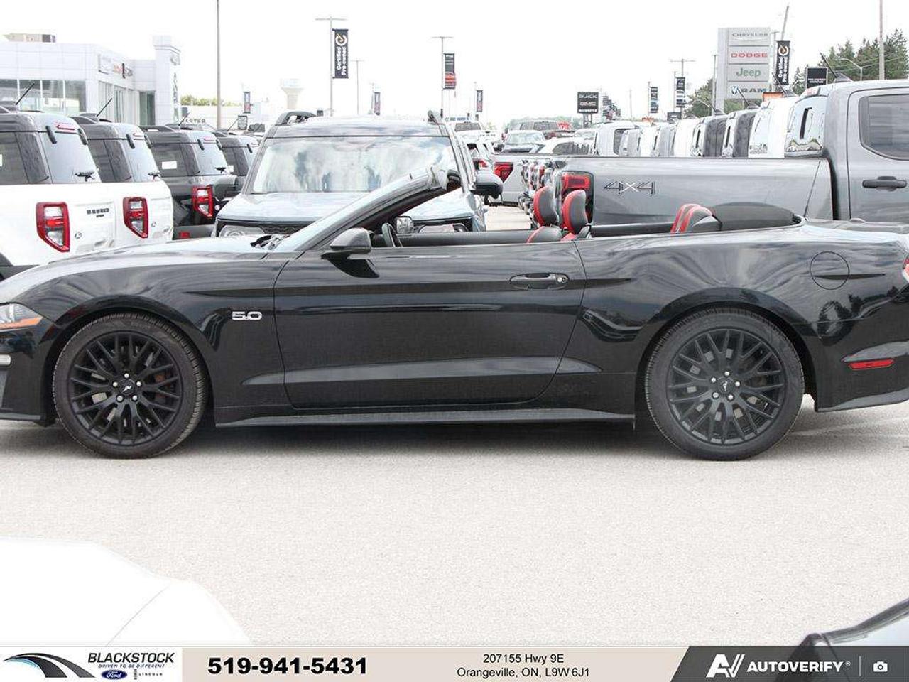 2021 Ford Mustang GT   ONE OWNER   NO ACCIDENTS   LOW KMS   CERTIFIED Photo