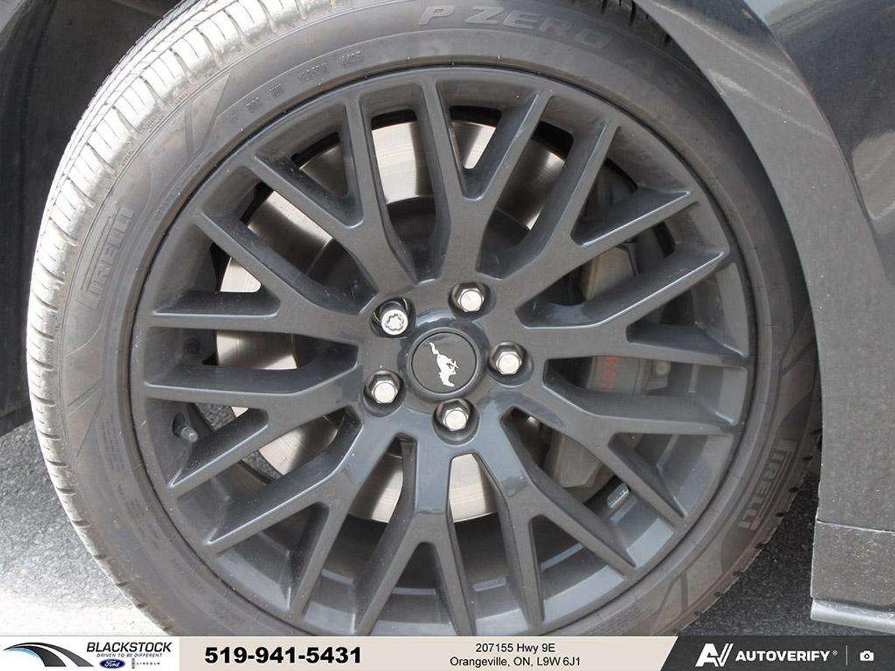2021 Ford Mustang GT   ONE OWNER   NO ACCIDENTS   LOW KMS   CERTIFIED Photo
