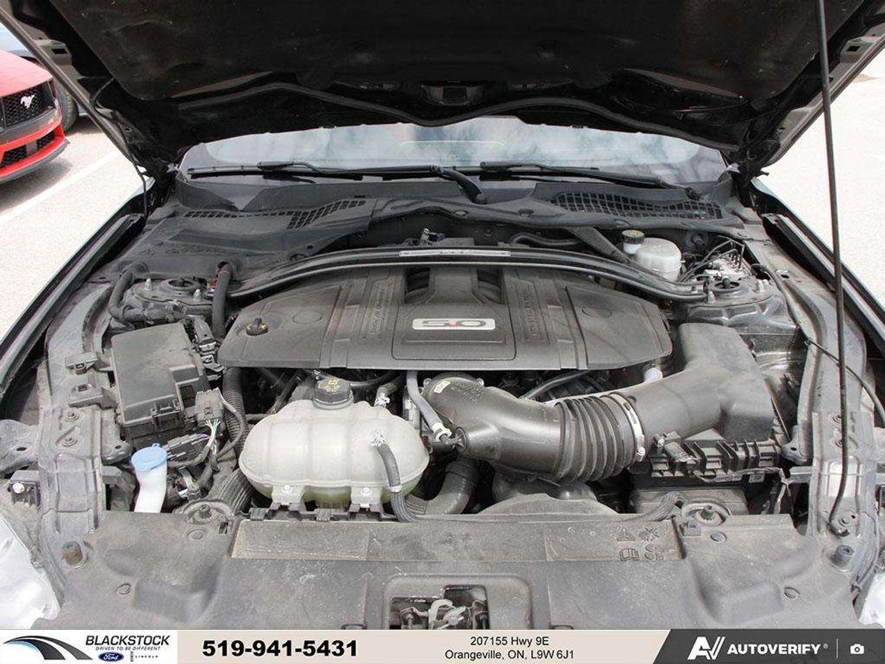 2021 Ford Mustang GT   ONE OWNER   NO ACCIDENTS   LOW KMS   CERTIFIED Photo