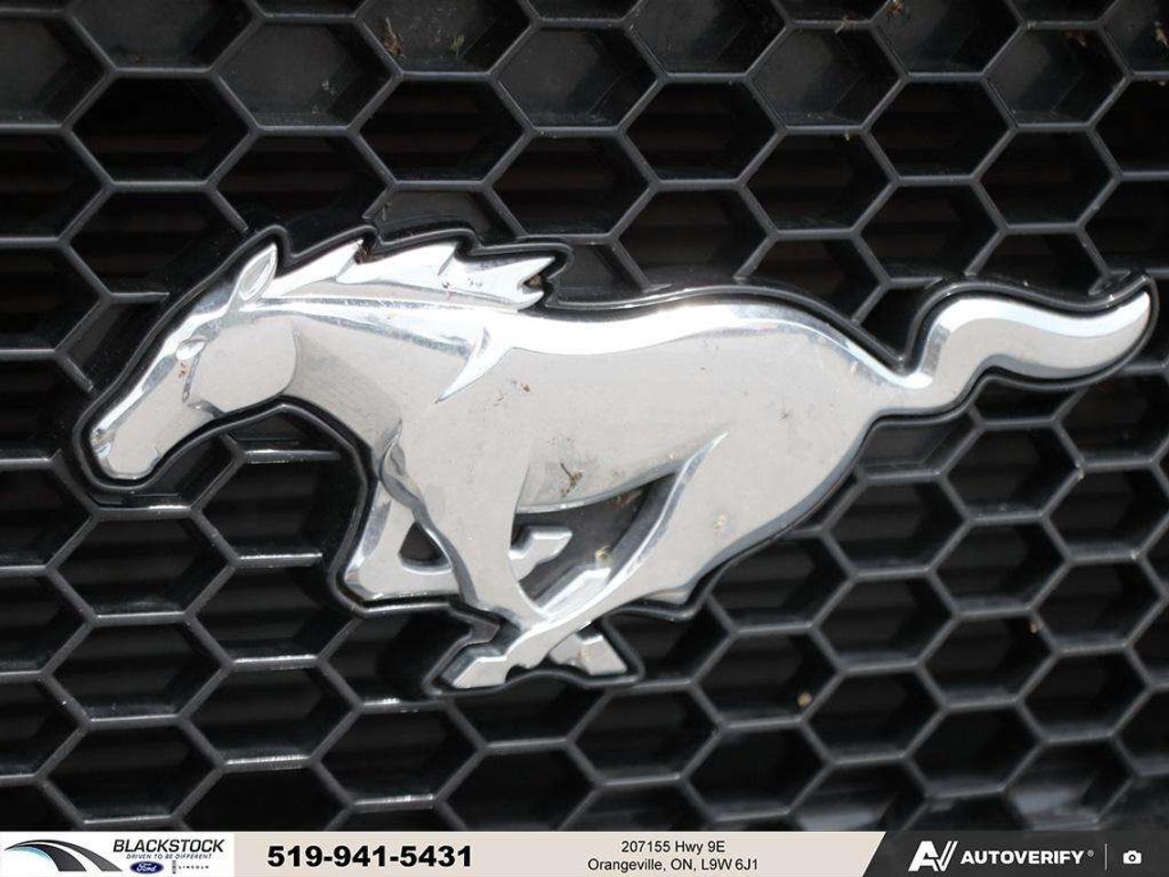 2021 Ford Mustang GT   ONE OWNER   NO ACCIDENTS   LOW KMS   CERTIFIED Photo