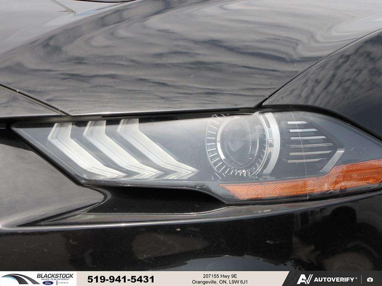 2021 Ford Mustang GT   ONE OWNER   NO ACCIDENTS   LOW KMS   CERTIFIED Photo