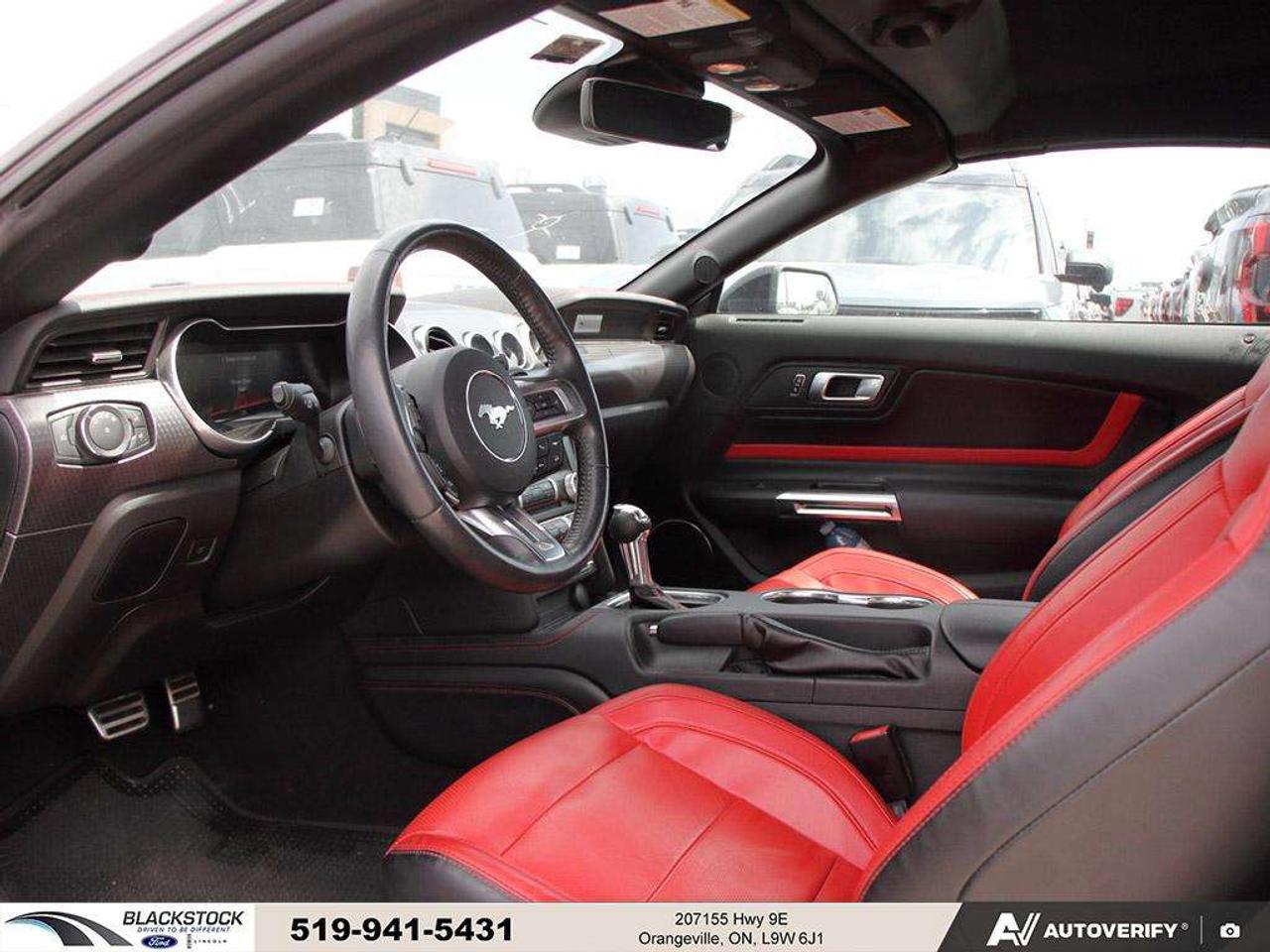 2021 Ford Mustang GT   ONE OWNER   NO ACCIDENTS   LOW KMS   CERTIFIED Photo