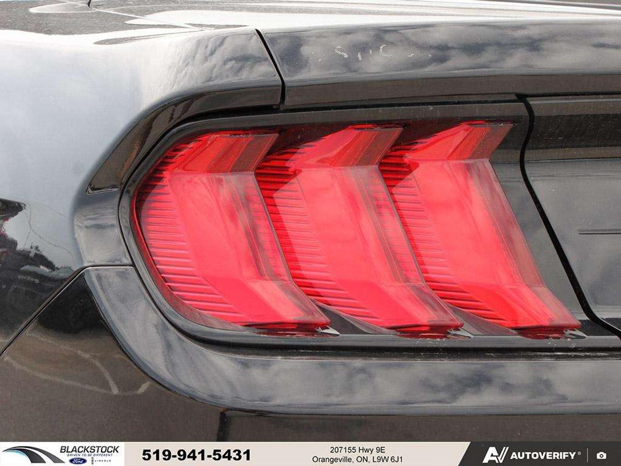 2021 Ford Mustang GT   ONE OWNER   NO ACCIDENTS   LOW KMS   CERTIFIED Photo