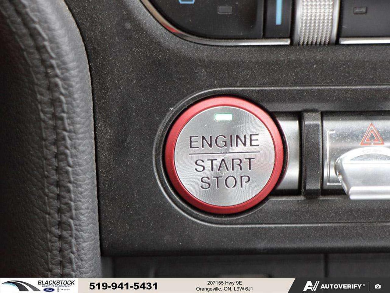 2021 Ford Mustang GT   ONE OWNER   NO ACCIDENTS   LOW KMS   CERTIFIED Photo
