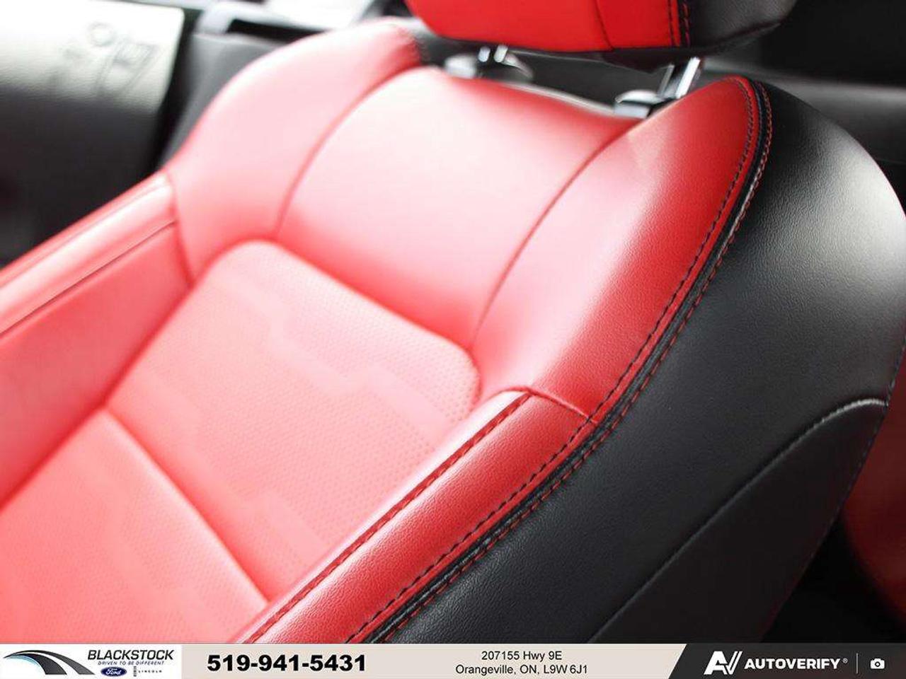 2021 Ford Mustang GT   ONE OWNER   NO ACCIDENTS   LOW KMS   CERTIFIED Photo