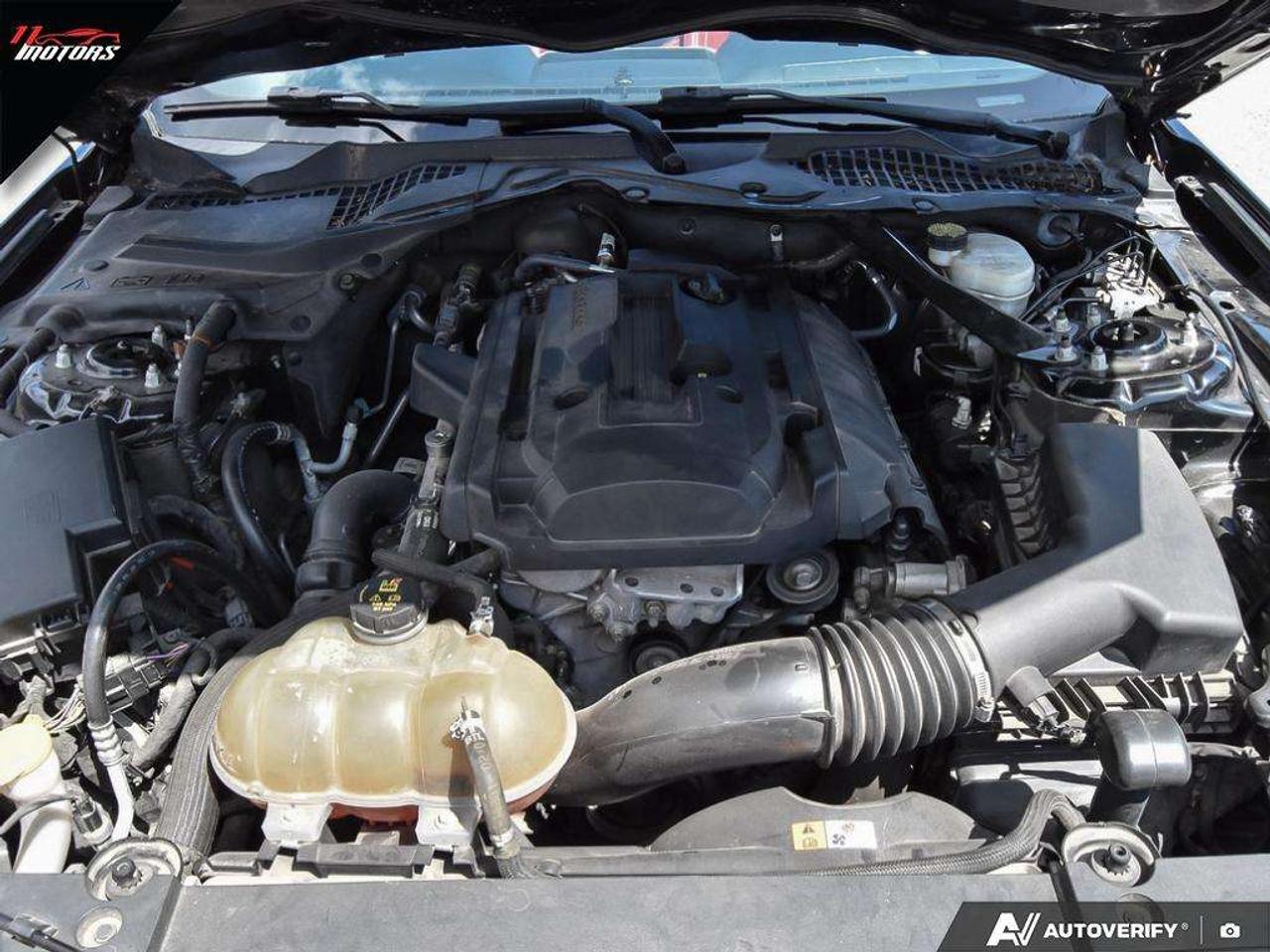 2015 Ford Mustang 2dr Conv EcoBoost Premium   NO ACCIDENTS Photo