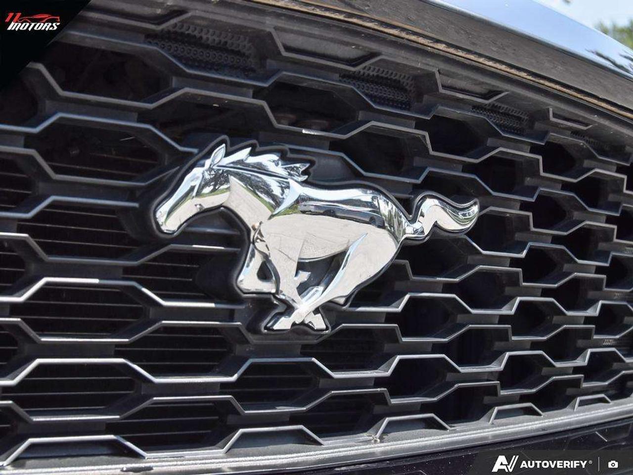 2015 Ford Mustang 2dr Conv EcoBoost Premium   NO ACCIDENTS Photo