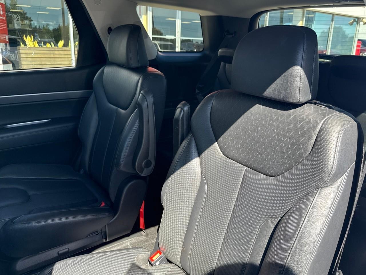 2020 Hyundai PALISADE Luxury 7 Passenger 4dr All-Wheel Drive Photo