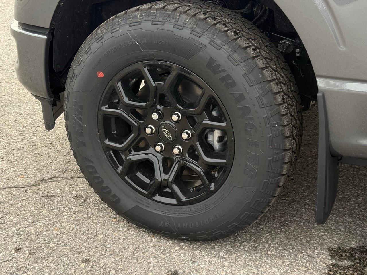2026 Ford F-150  Photo