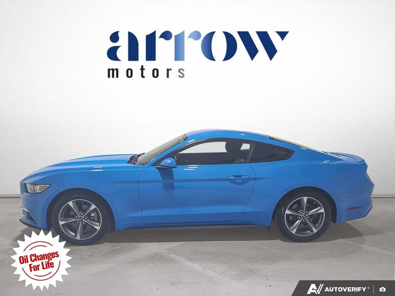 2017 Ford Mustang  Photo4
