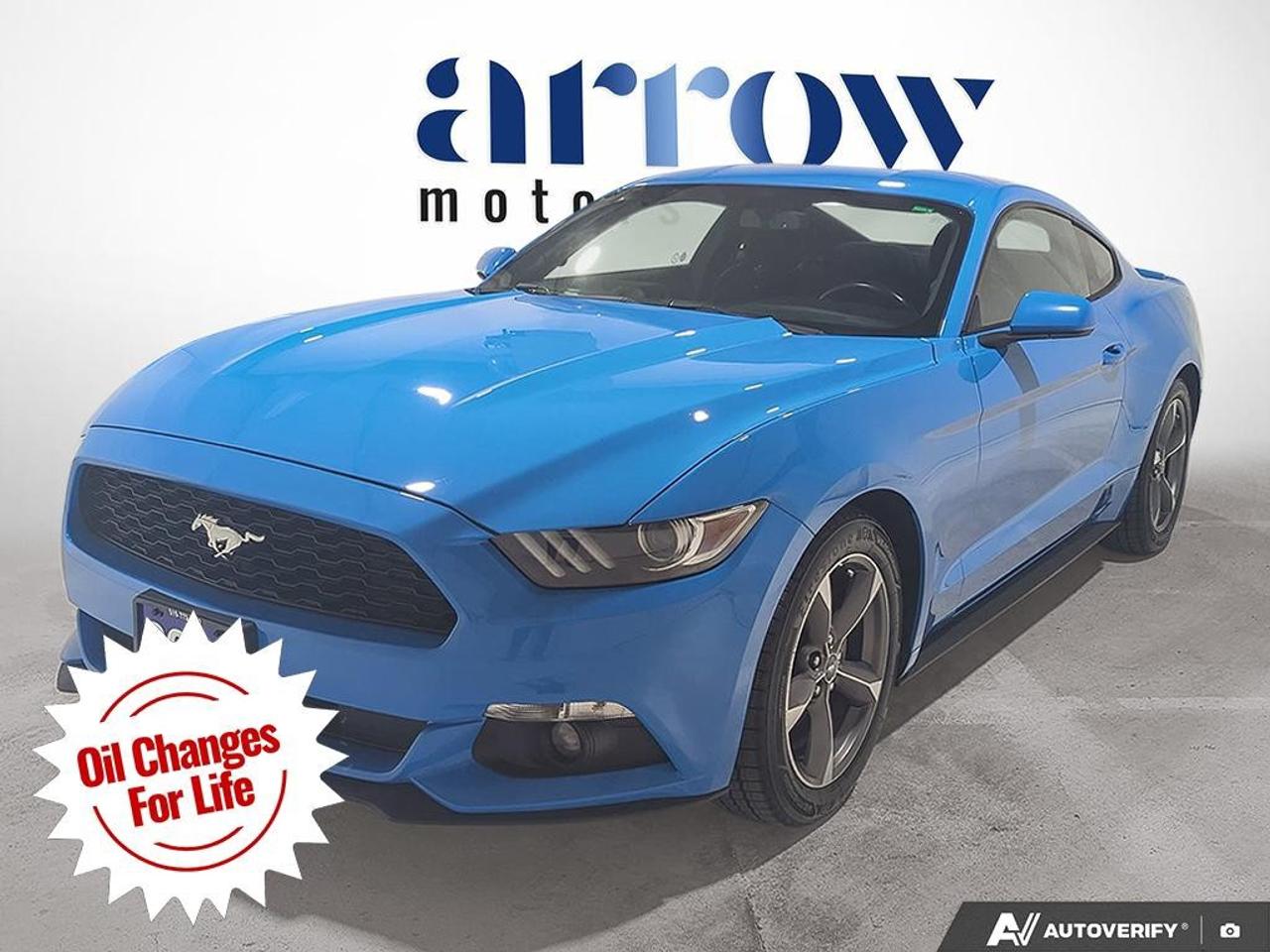 2017 Ford Mustang  Photo0
