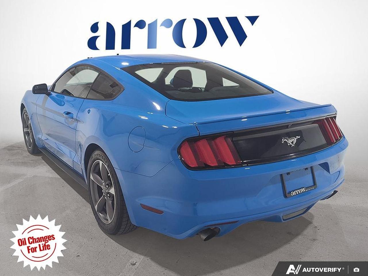2017 Ford Mustang  Photo