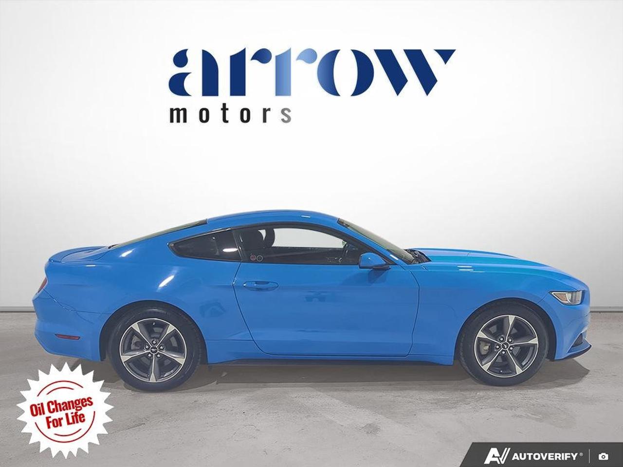2017 Ford Mustang  Photo