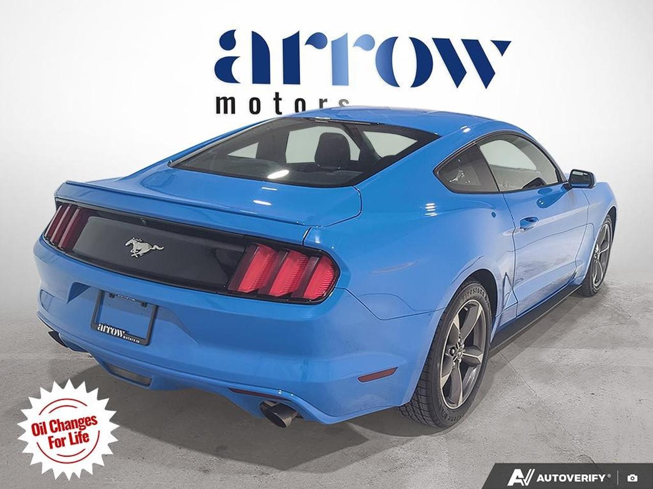 2017 Ford Mustang  Photo