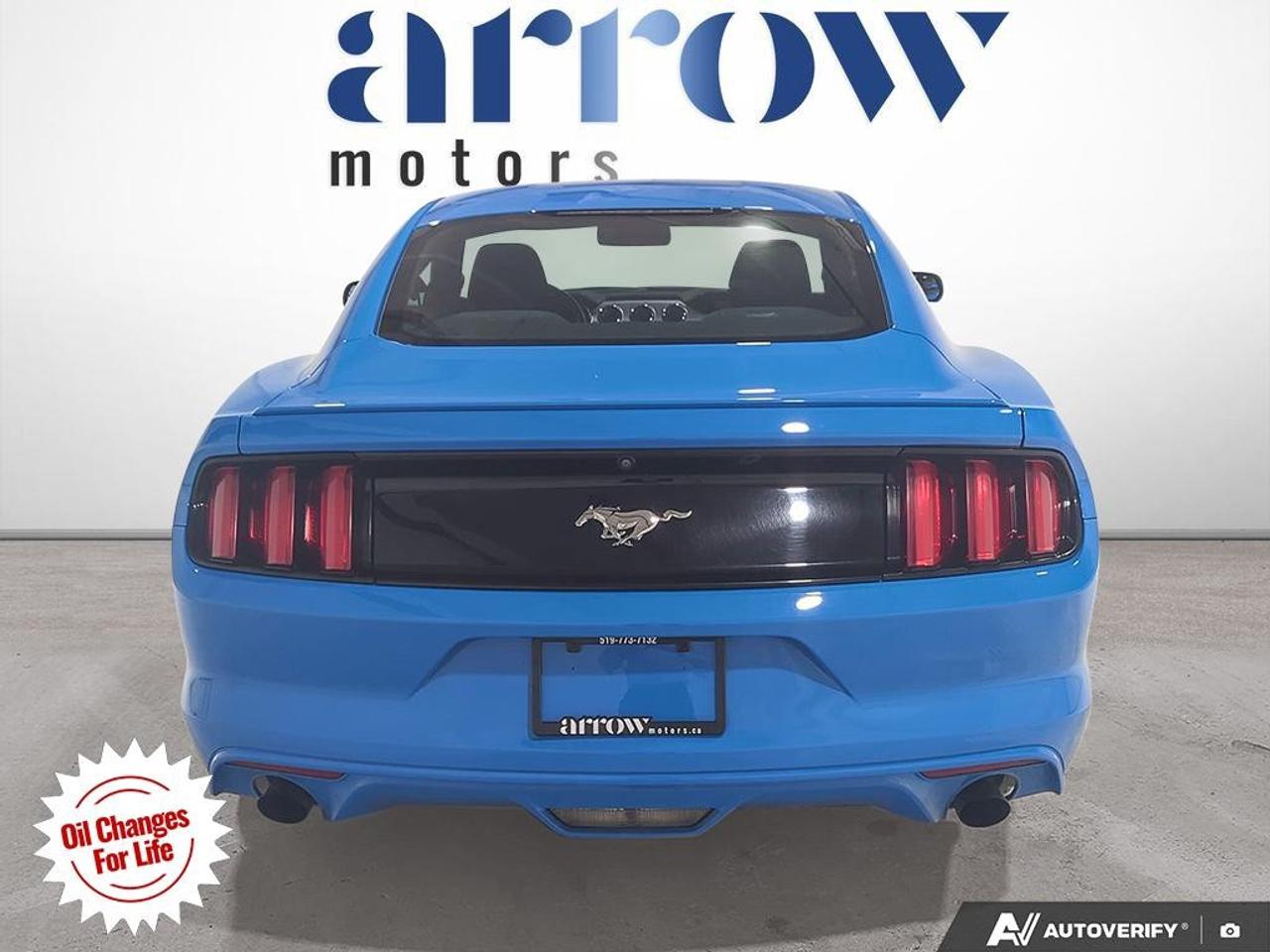 2017 Ford Mustang  Photo
