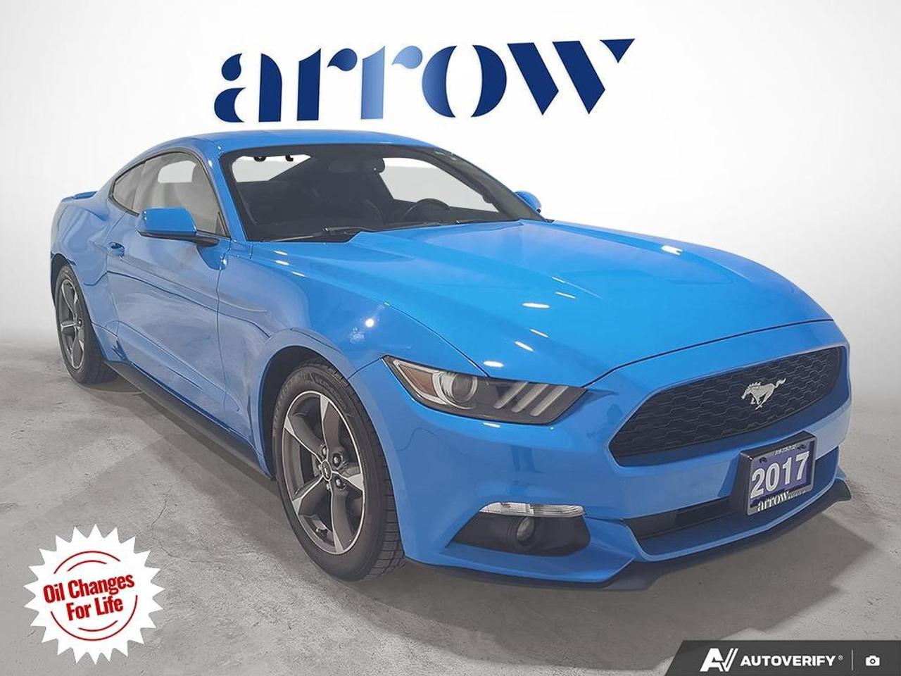 2017 Ford Mustang  Photo
