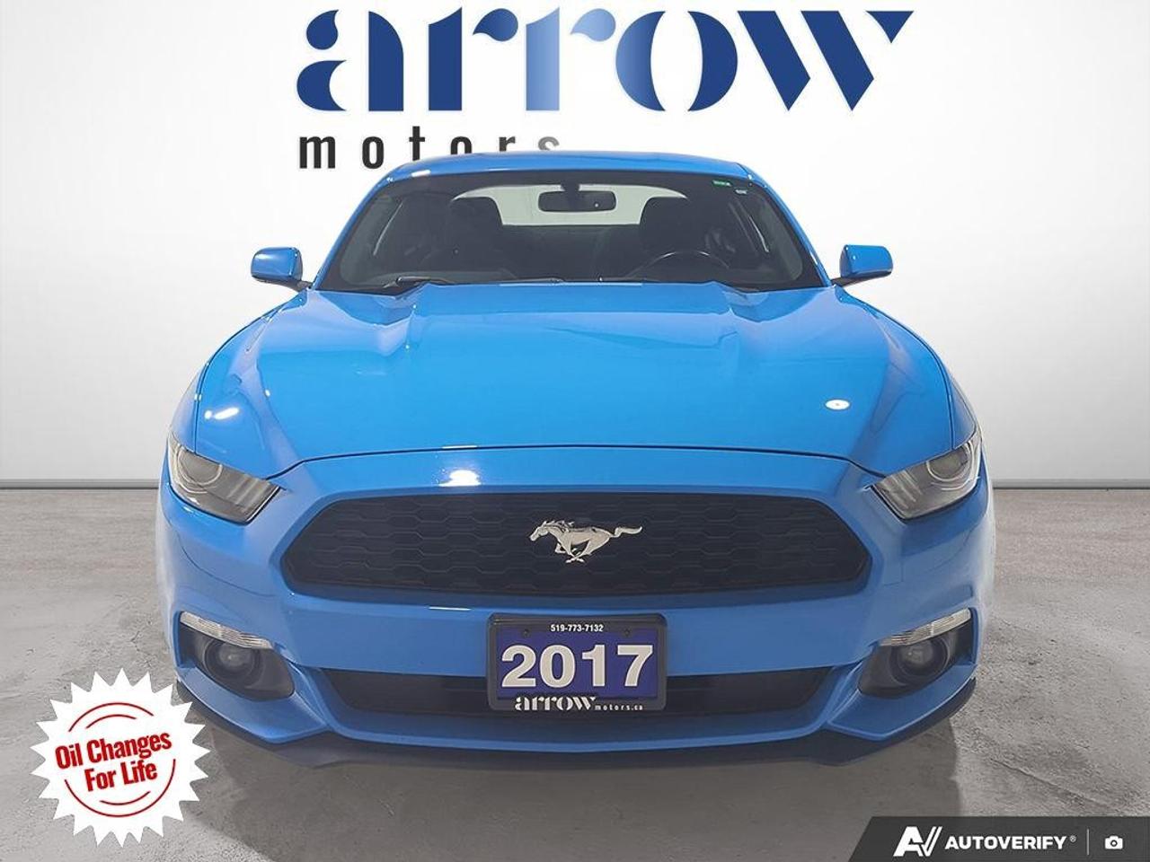 2017 Ford Mustang  Photo