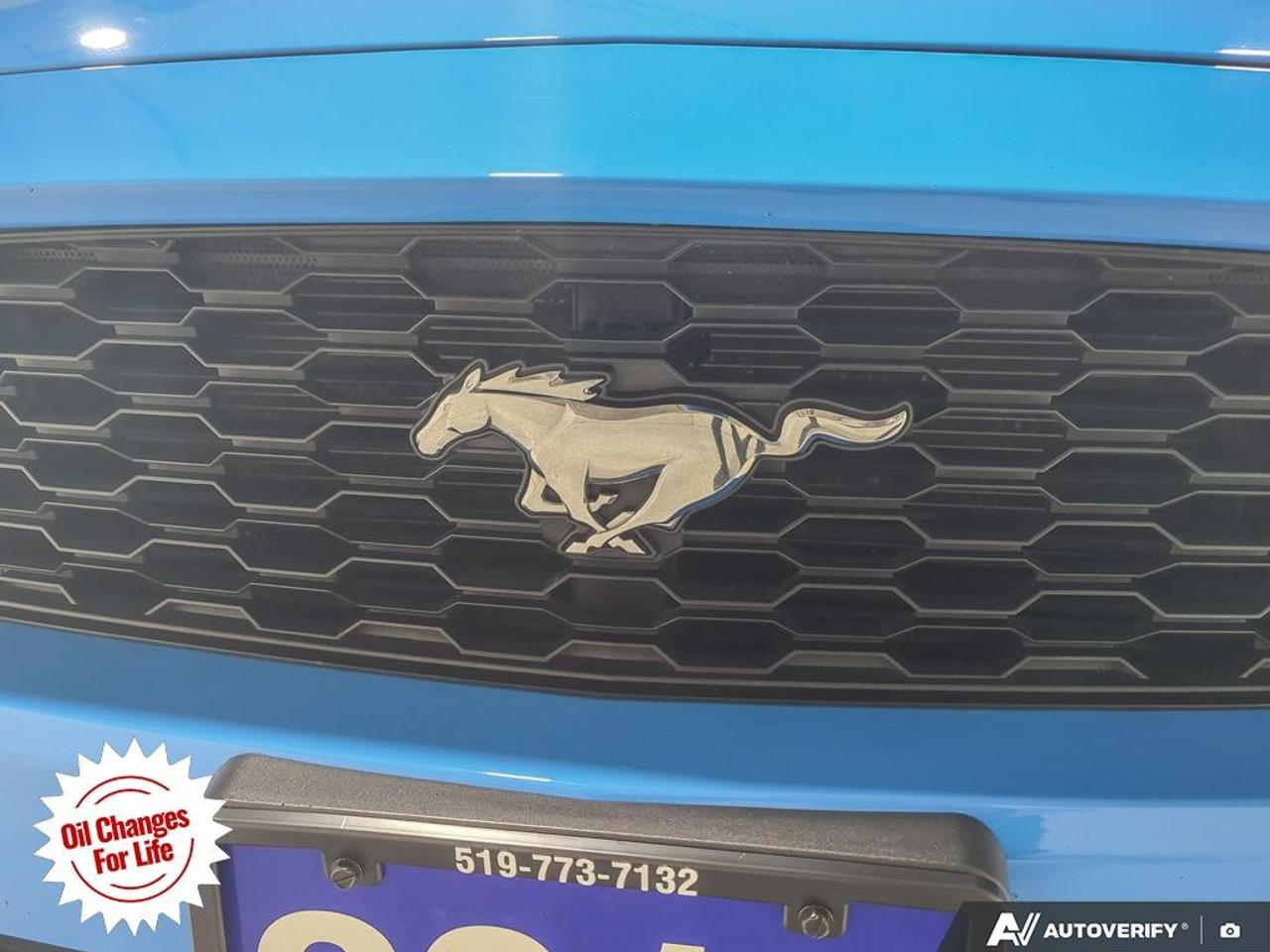 2017 Ford Mustang  Photo