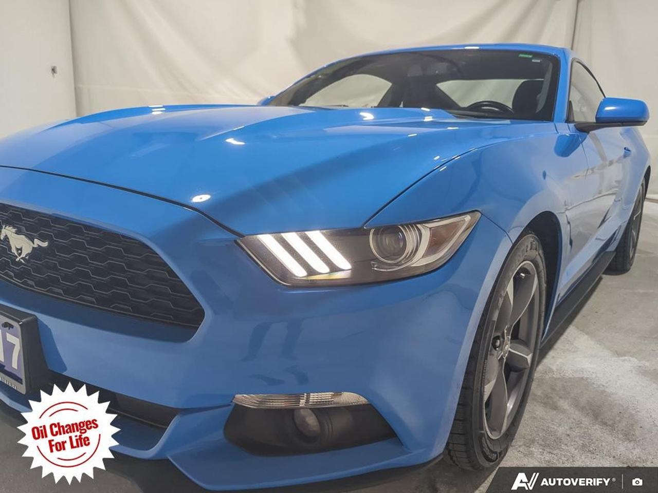2017 Ford Mustang  Photo
