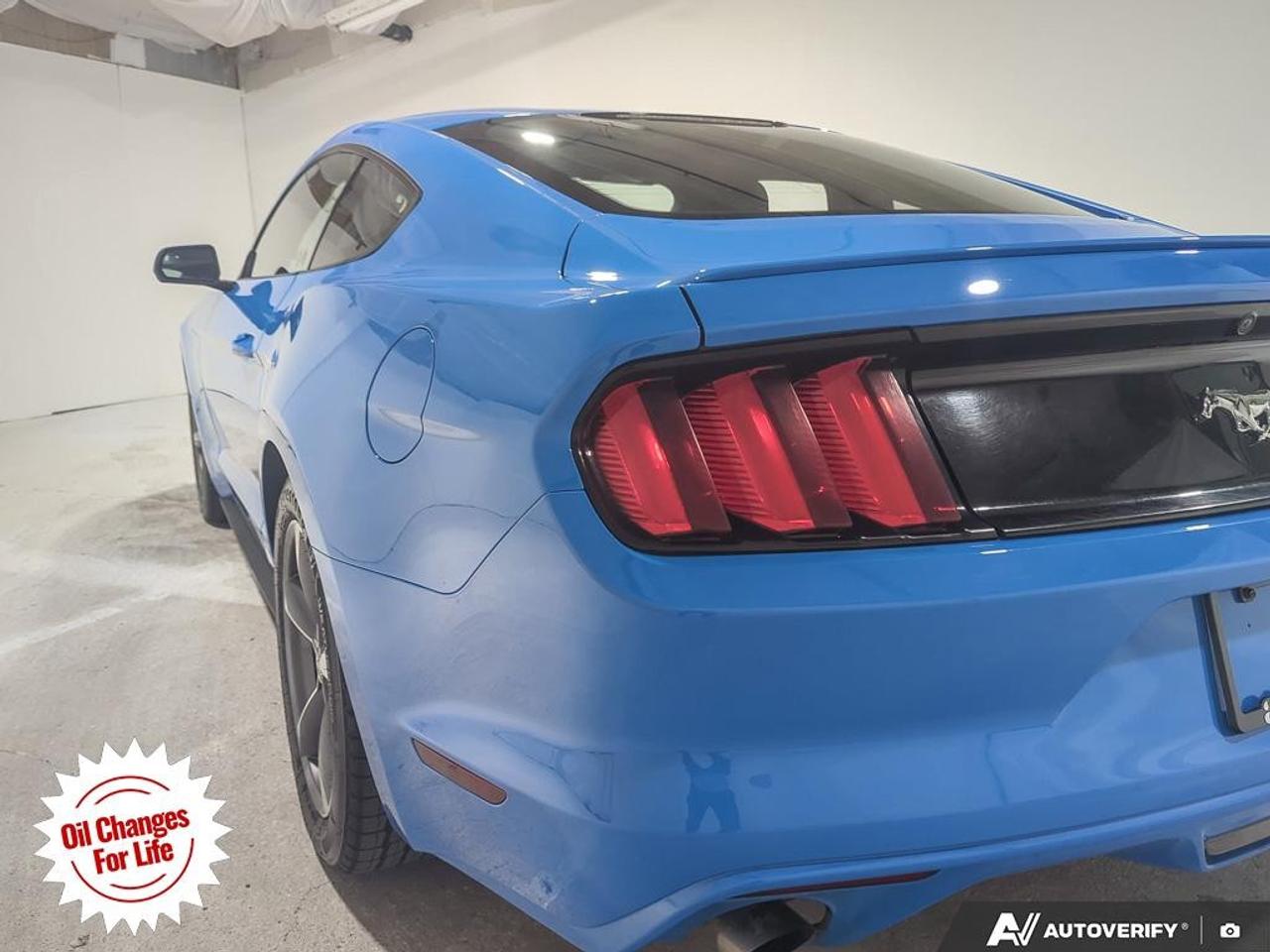 2017 Ford Mustang  Photo
