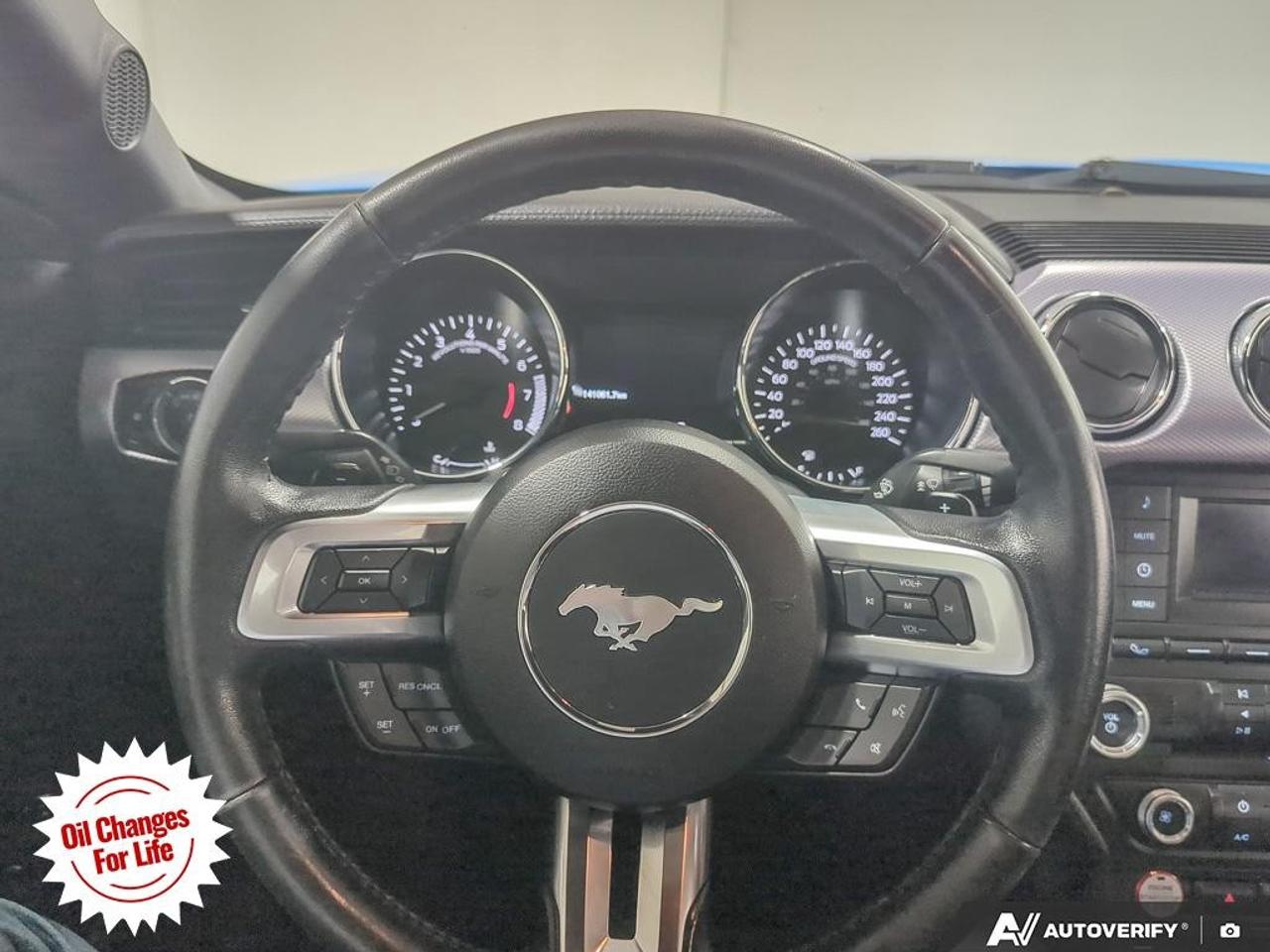 2017 Ford Mustang  Photo