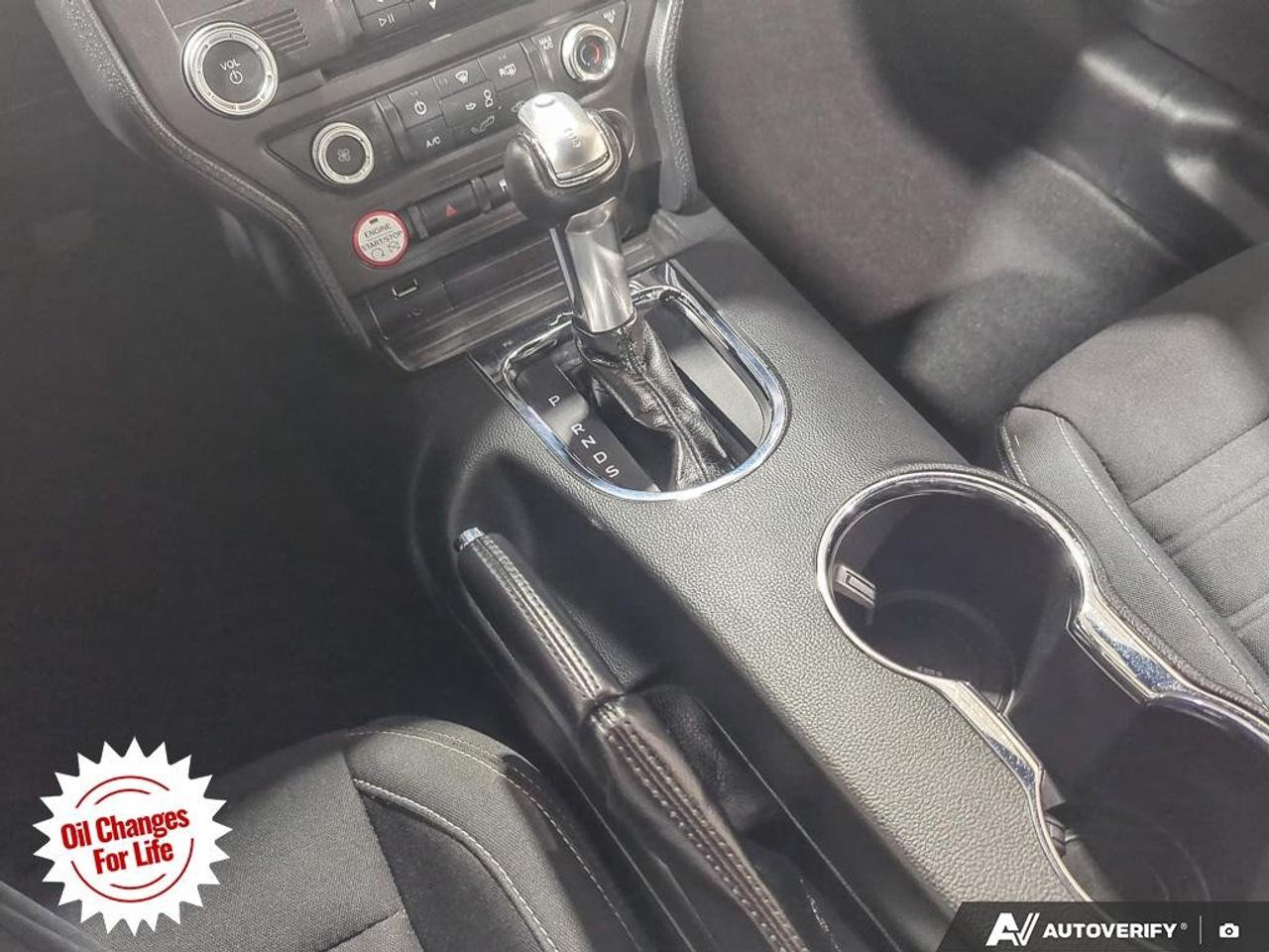 2017 Ford Mustang  Photo