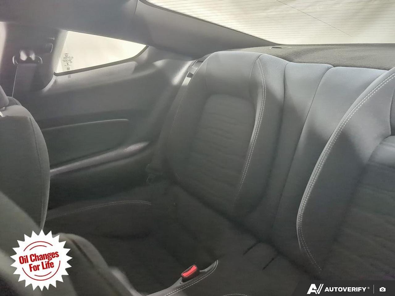 2017 Ford Mustang  Photo