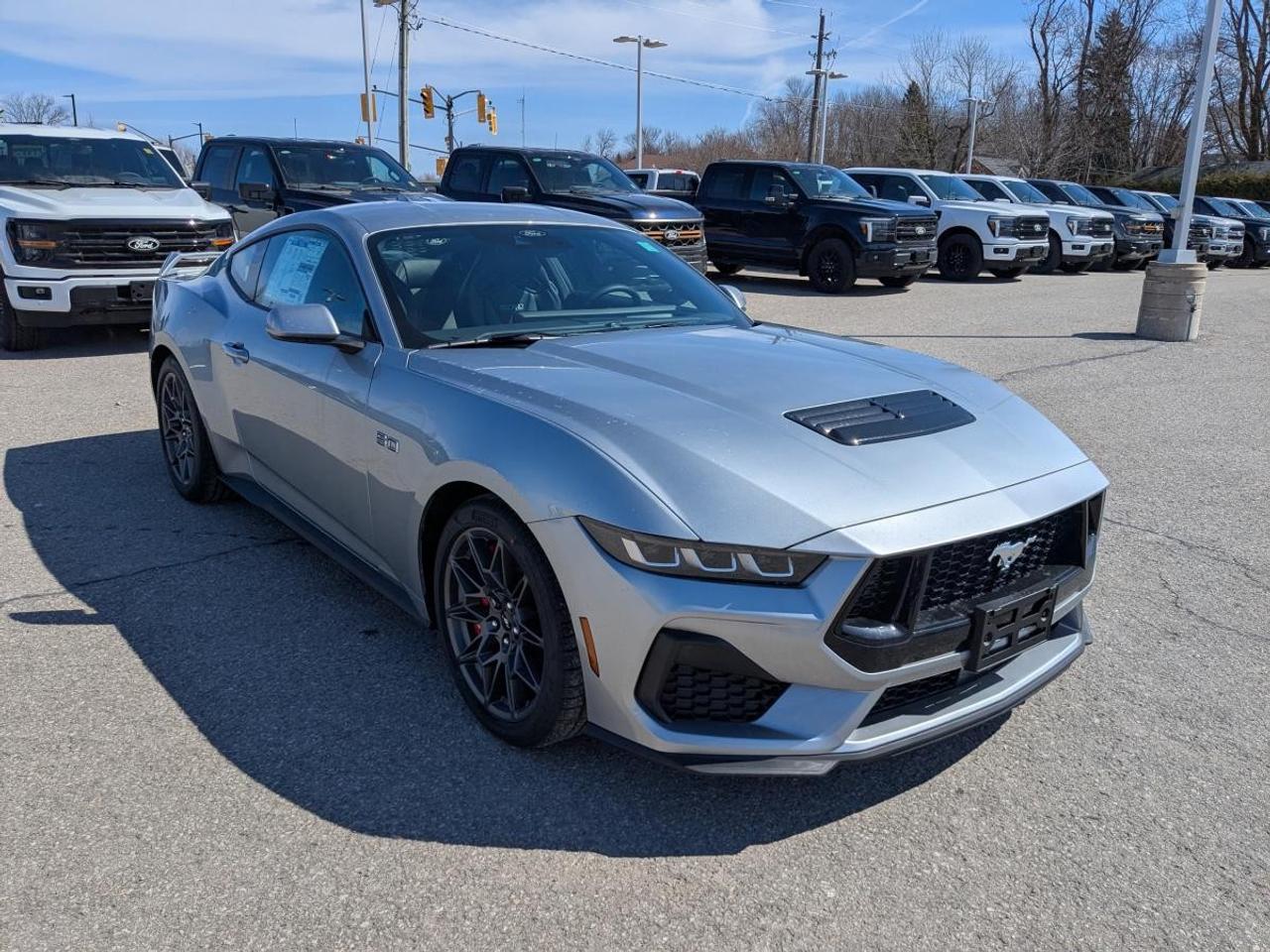 2025 Ford Mustang  Photo