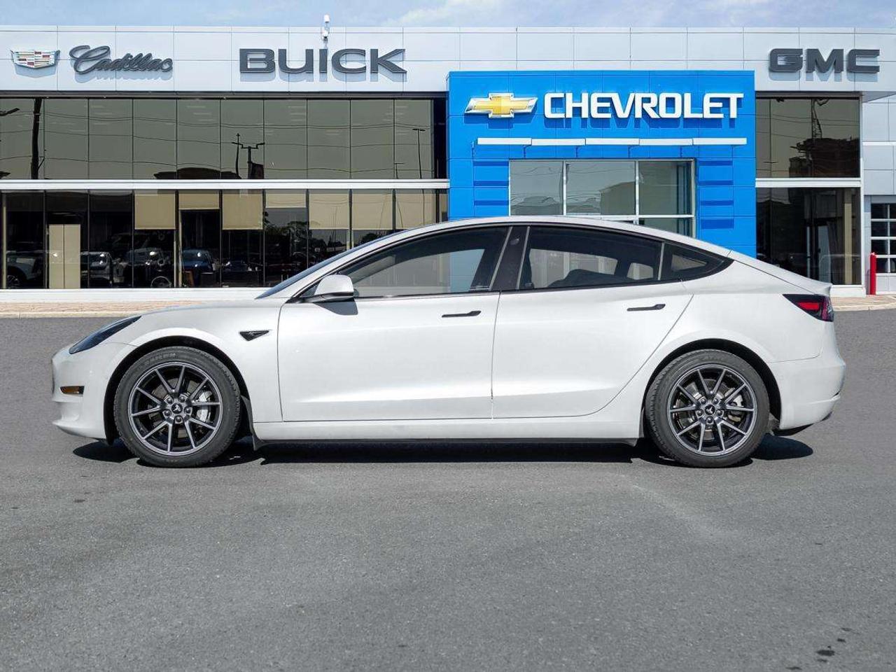 2022 Tesla Model 3 RWD Photo3
