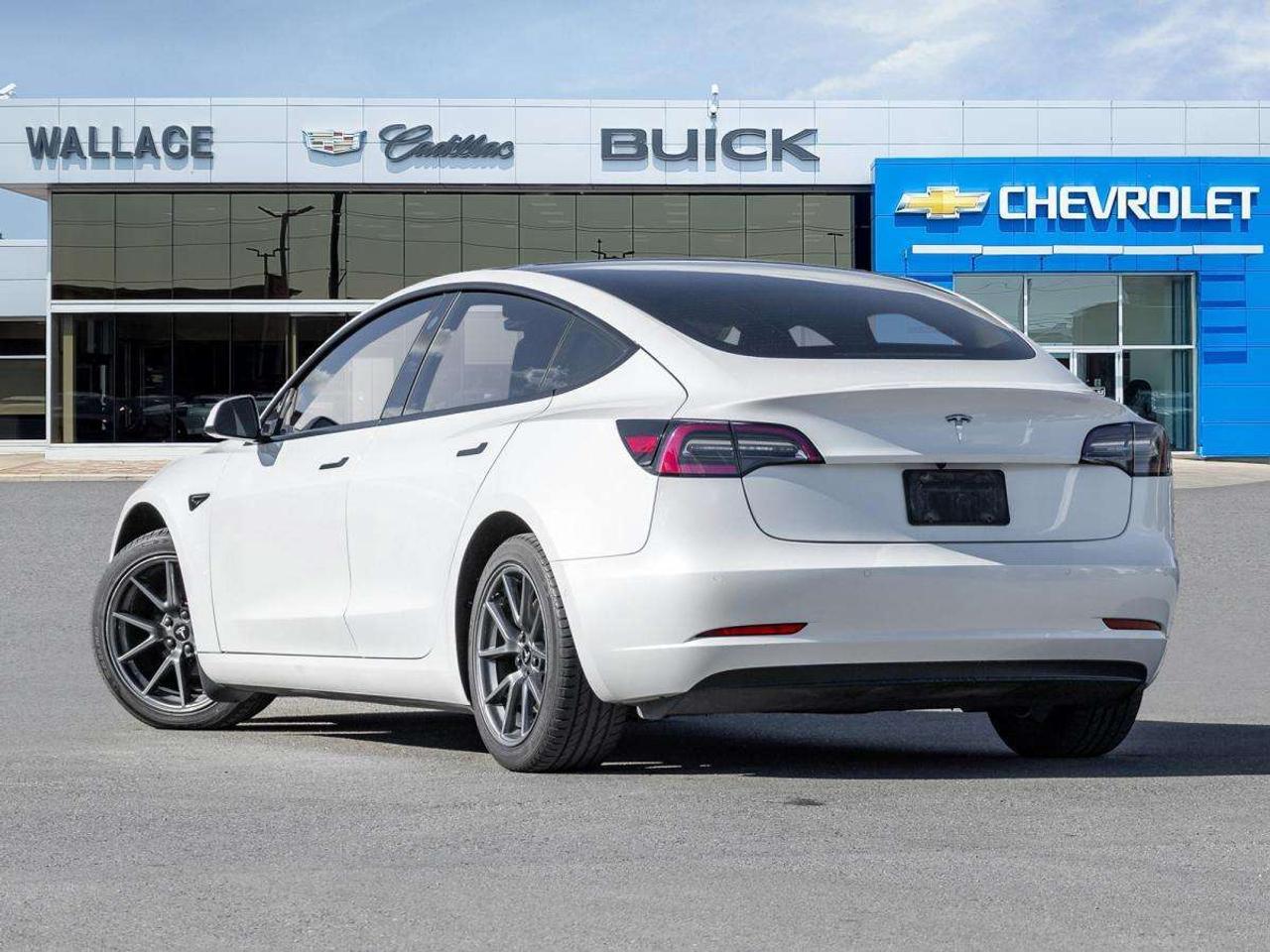 2022 Tesla Model 3 RWD Photo