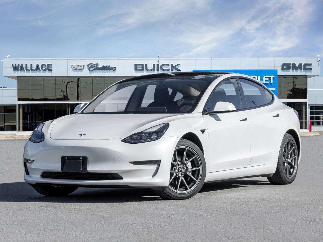 2022 Tesla Model 3 RWD Photo0