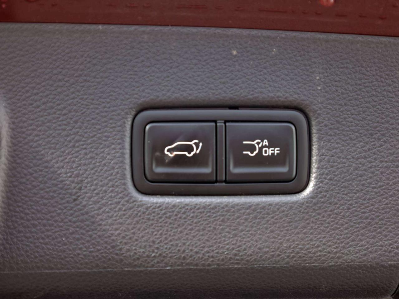 2026 Kia Carnival EX+ Photo