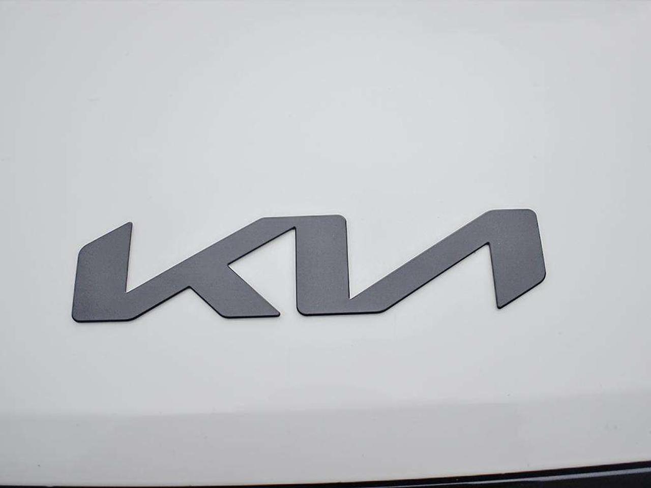 2026 Kia Carnival SX+ Photo