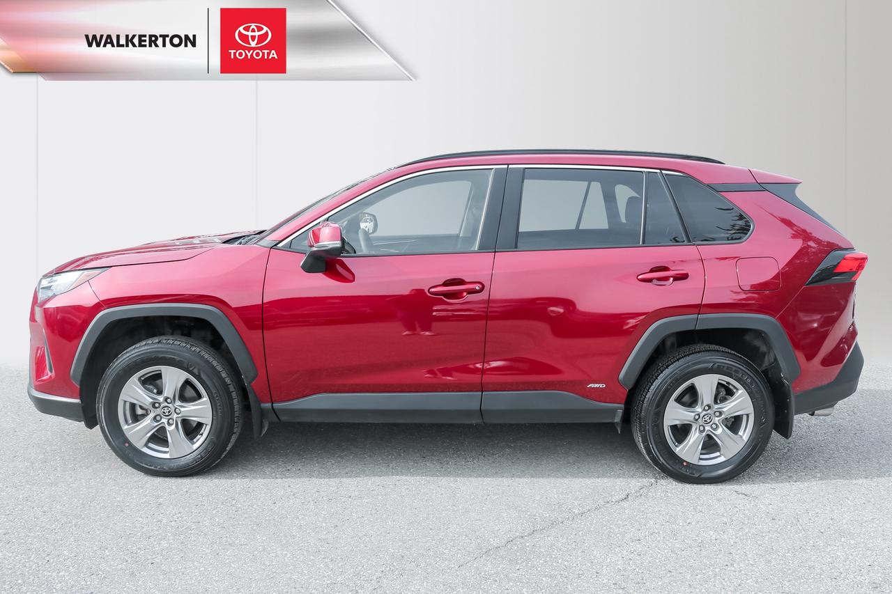 2024 Toyota RAV4 Hybrid XLE 4dr All-Wheel Drive Photo