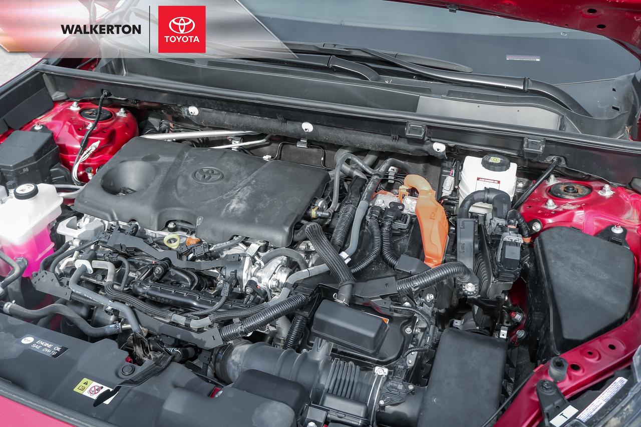 2024 Toyota RAV4 Hybrid XLE 4dr All-Wheel Drive Photo