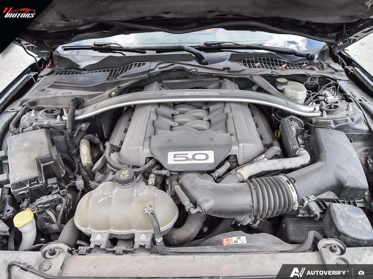 2016 Ford Mustang 2dr Conv GT Premium   5.0V8   LOADED Photo