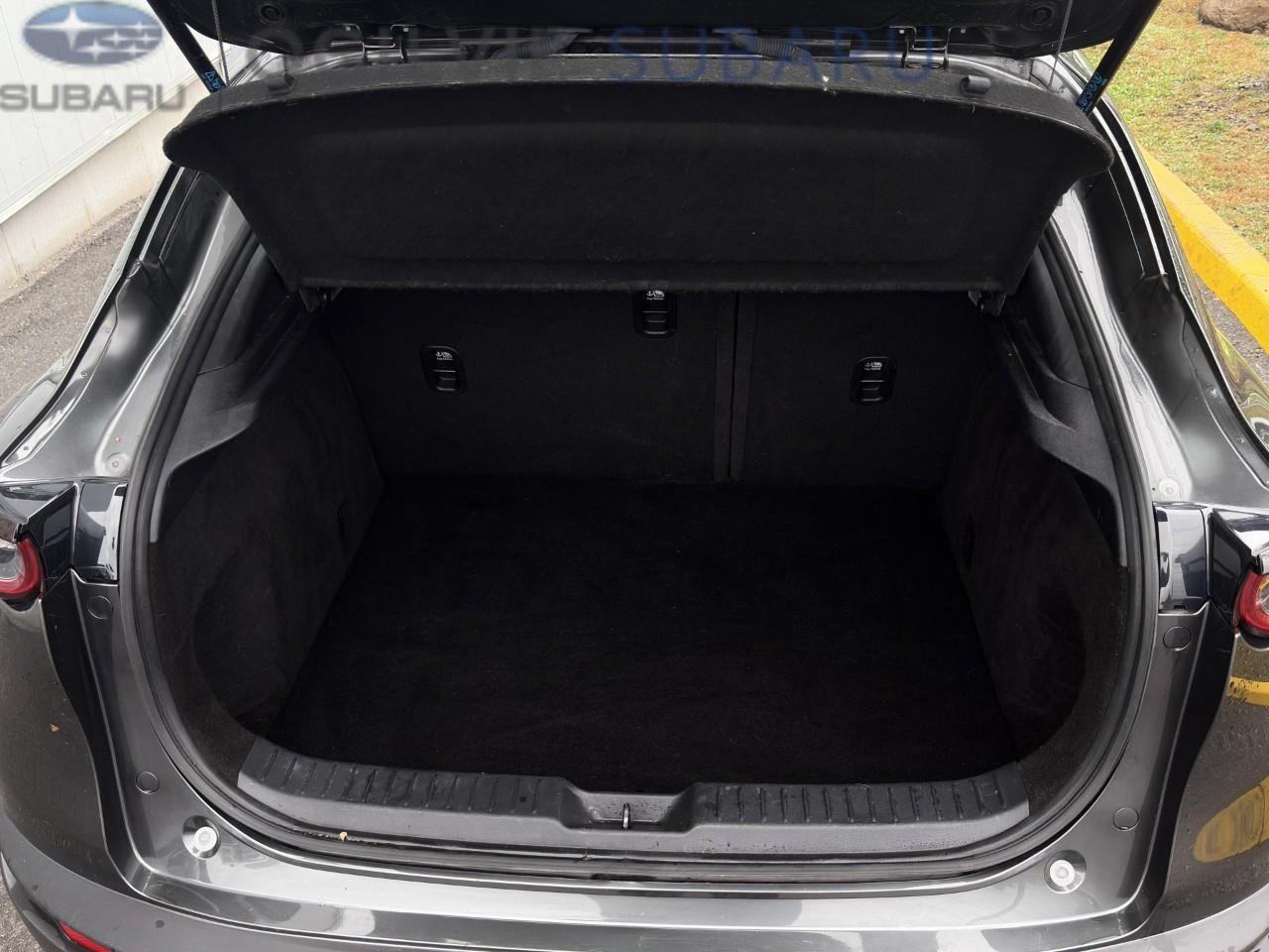 2022 Mazda CX-30 GX 4dr i-ACTIV All-Wheel Drive Sport Utility Photo
