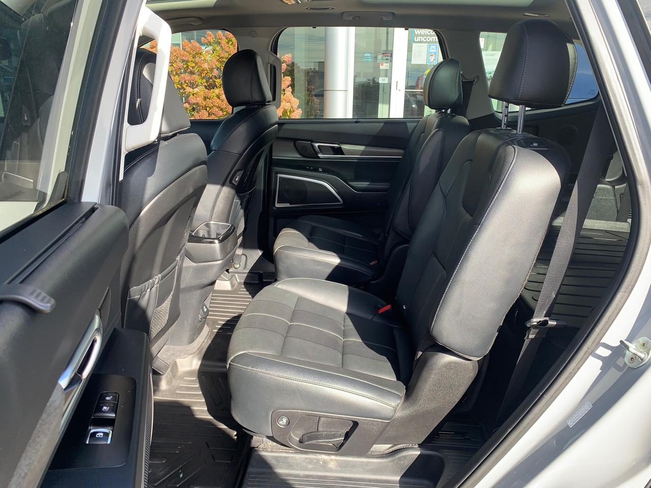 2022 Kia Telluride Nightsky 4dr All-Wheel Drive Photo