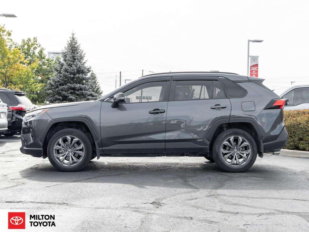 2025 Toyota RAV4 XLE PREMIUM LEATHER SEATING SUNROOF CARPLAY ONE OWNER TCUV XLE Photo