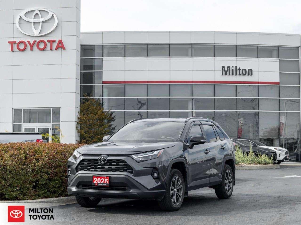 2025 Toyota RAV4 XLE PREMIUM LEATHER SEATING SUNROOF CARPLAY ONE OWNER TCUV XLE Photo