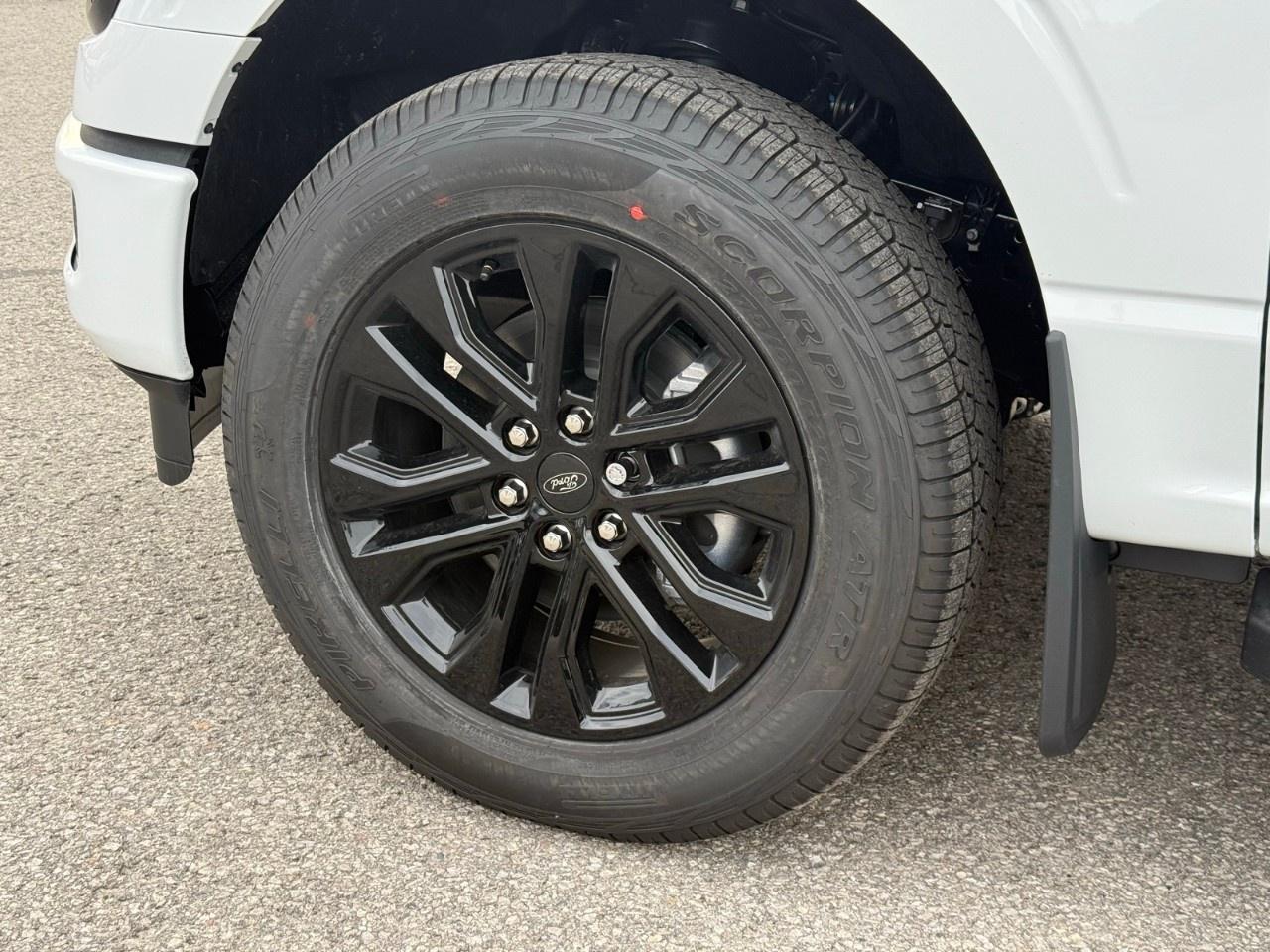 2026 Ford F-150 XLT 4WD SuperCrew 5.5' Box Photo