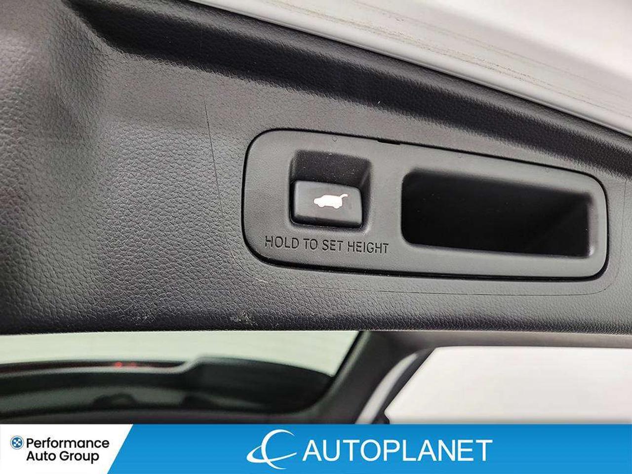 2024 Honda CR-V EX-L AWD, Honda Sensing, Sunroof, Remote Start! Photo